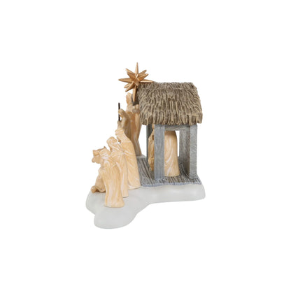 50th A Lamb In The City 6018455