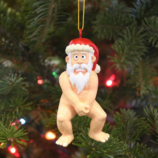 Funny Naked Santa Claus Christmas Ornaments 4096